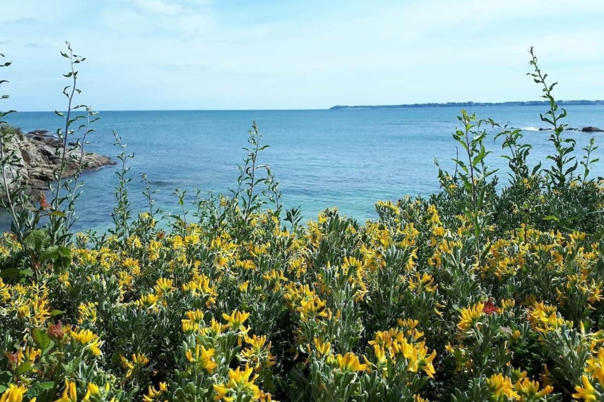 Spacieux Appartement Neuf De Standing Hyper Cosy Larmor-Plage Zewnętrze zdjęcie